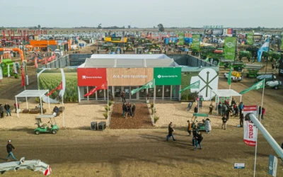 El financiamiento para el sector agropecuario crece fuerte y se esperan más cosechas récord