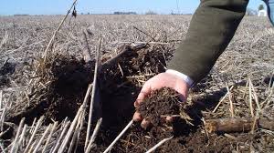 La oportunidad de la Argentina para posicionarse como líder en producción agroindustrial sustentable