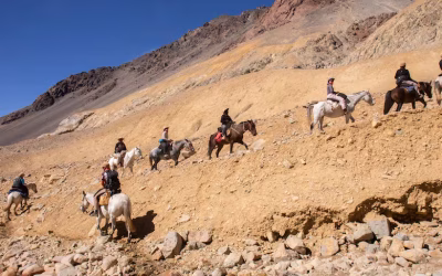 Argentina a caballo: guía con las mejores cabalgatas, de Salta a la Patagonia