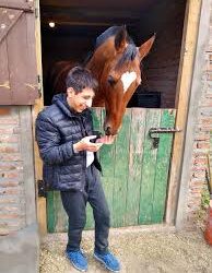 El poder terapéutico de los caballos: “Reducen el estrés y regulan nuestras emociones”