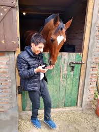 El poder terapéutico de los caballos: “Reducen el estrés y regulan nuestras emociones”