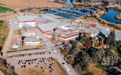 “Una patriada”: dos hermanos compraron seis frigoríficos legendarios de Santa Fe y nace el mayor grupo del negocio de la carne