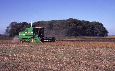 Guía para la estimación de pérdidas de cosecha