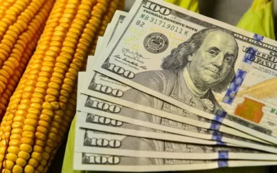 Cómo impacta en Argentina el acuerdo entre Estados Unidos y China por la soja