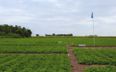 Articulación que acelera la llegada de la tecnología al campo