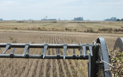 ¿Cómo vienen los márgenes proyectados de la campaña agrícola 2025/26 con los precios esperados actuales?