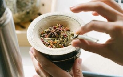 Hierbas aromáticas para el mate: 7 opciones para cultivar en casa
