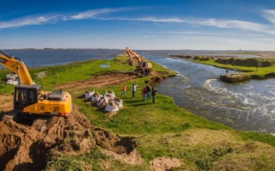 El campo denuncia que ya se perdieron USD 5.000 millones por la motosierra de Milei