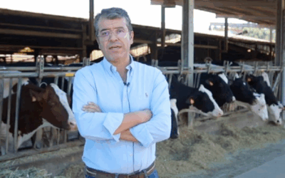 La Fiesta Nacional del Holando se hará en Villa María y tendrá un jurado español