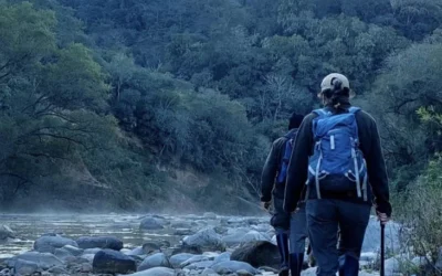 El paraíso secreto de Salta que pocos conocen: un parque nacional con nombre de rey y fauna salvaje