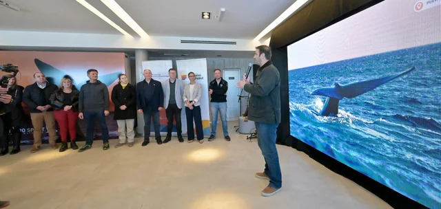 Comenzó la temporada de Ballenas en Chubut: 6 empresas brindarán el servicio