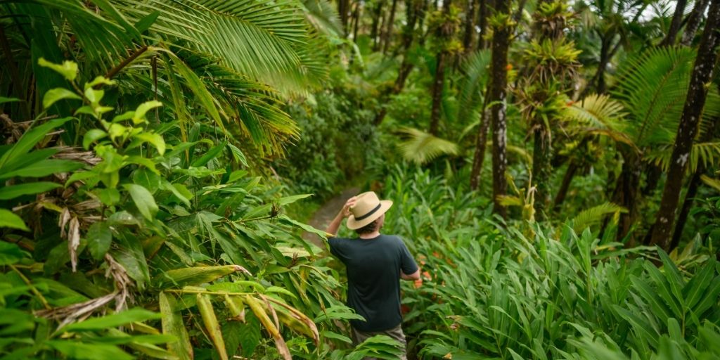 Viaje a Puerto Rico: la isla del encanto
