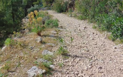 La caminata de 35 días en Turquía que es considerada una de las mejores del mundo