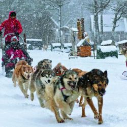 Argentina: donde hacer snowboard, trekking con raquetas y más actividades de nieve