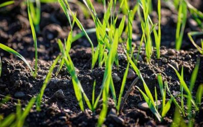 Las soluciones biológicas, protagonistas del Congreso de Casafe