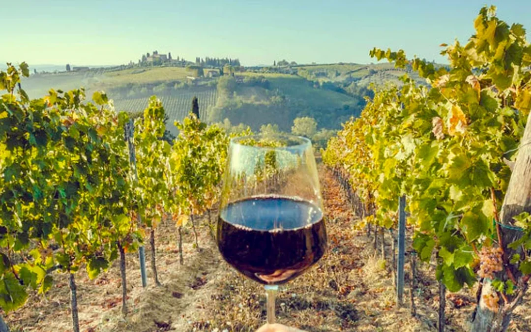Tomar un vino en la Toscana italiana sale más barato que en la Argentina: precios actualizados a junio 2025