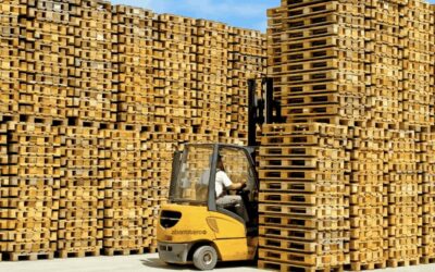 “Una capa de costos menos”: el Senasa simplificó la regulación sobre el tránsito de embalaje de madera