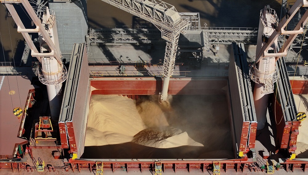 ¿A dónde va la harina de soja?