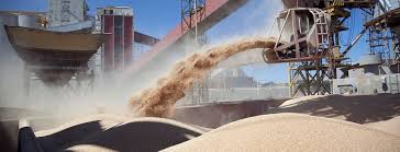 Se desaceleraron las exportaciones de harina de soja en mayo