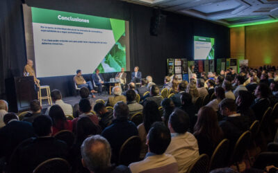El futuro de las legumbres en Argentina: Desafíos y oportunidades en un mercado globalizado
