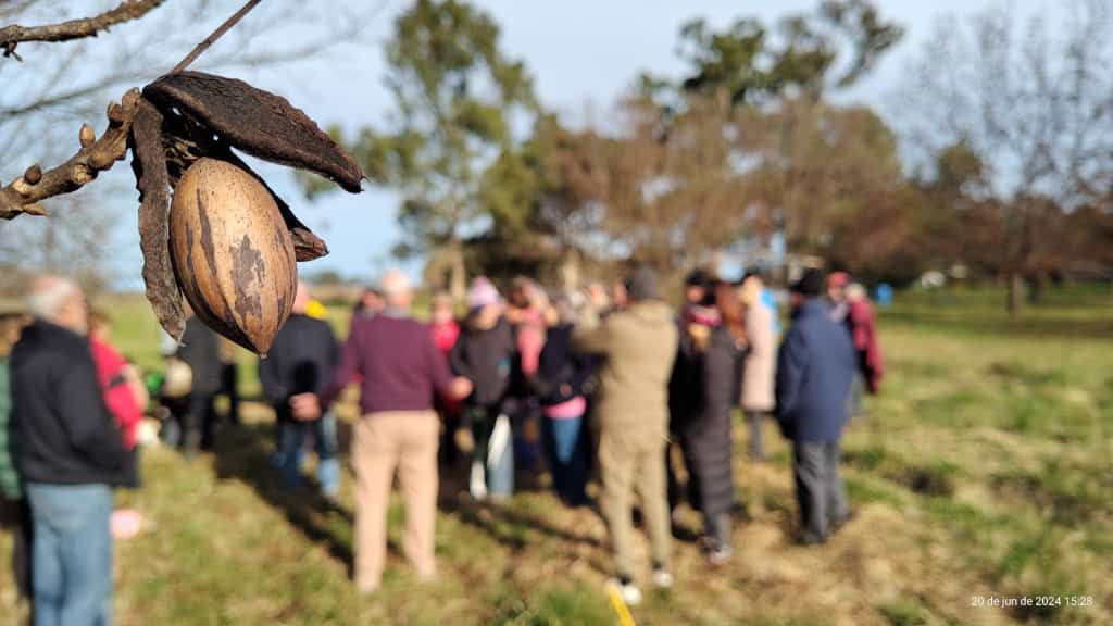 Nueces y naturaleza: una escapada rural con sabor local