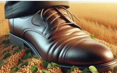 Derechos de exportación: CREA expuso en el Espacio Legislativo Interpartidario del Agro el daño que generan