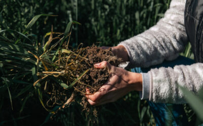 Aapresid lanza una nueva certificación para productores que optaron por la agricultura regenerativa y quieren validar lo que hacen