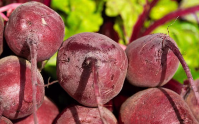 El nuevo oro rojo: cuál es el cultivo que alteró la producción ganadera tradicional y que permite producir carne barata