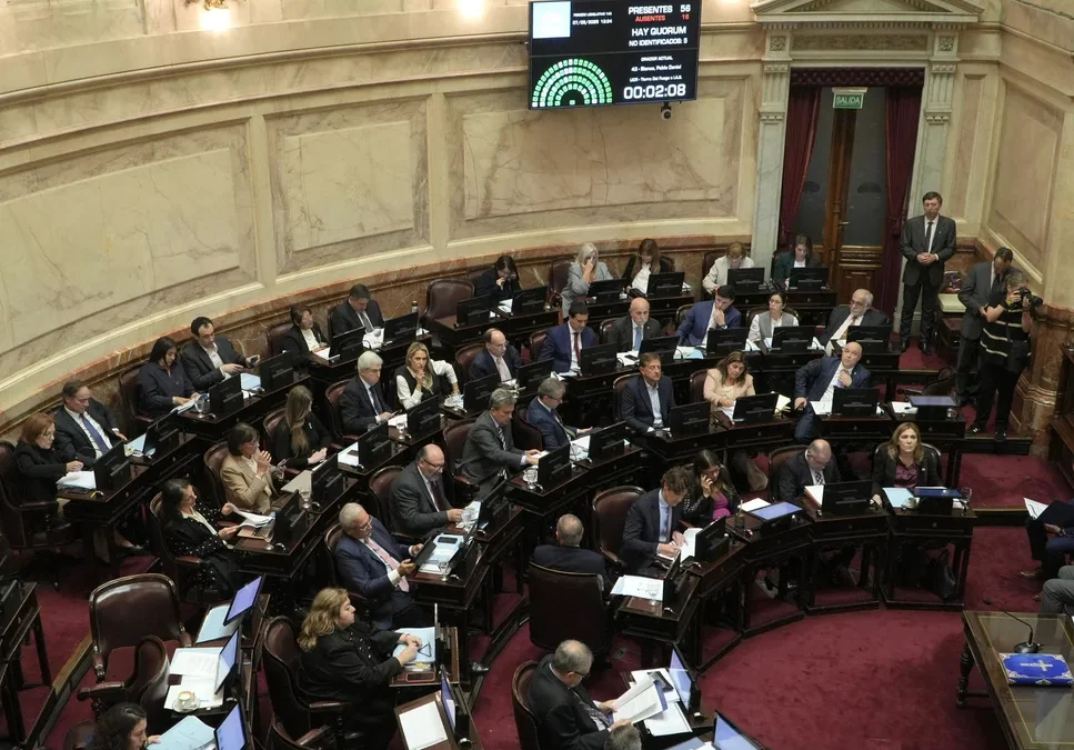 Senadores buscan donar el nuevo aumento en las dietas al Garrahan