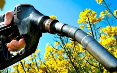 Energía fijó nuevos precios mínimos para el bioetanol para junio de 2025