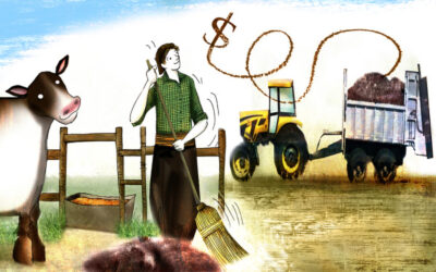 Feedlot: cómo convertir la limpieza de los corrales en negocio