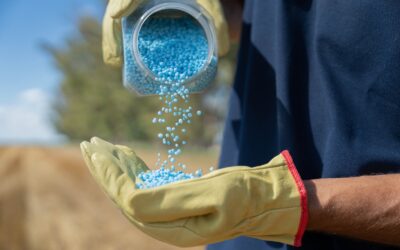 Yara presenta dos nuevos lanzamientos para el arranque de la soja