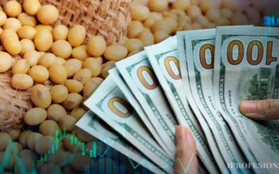 Efecto dólar: se dispara el precio de la soja para productores locales y Caputo espera otra ayuda del campo