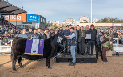 La Gran Campeona Hembra Angus es una vaca de Don Abraham