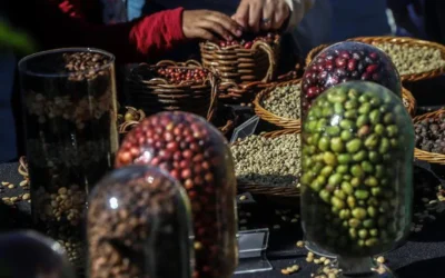 Brasil exporta: logró los ingresos más altos de la historia por ventas de café