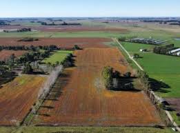 Mercado inmobiliario rural: Se mantiene muy firme la demanda de campos agrícolas con muy poca oferta