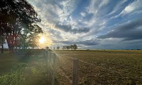 ¿Estamos ante una oportunidad de valorización de los campos agrícolas en la Argentina?