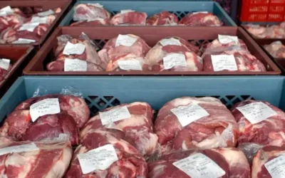 Sector cárnico: “Cada vez que hay un poquito más de plata el consumidor prefiere la carne bovina”