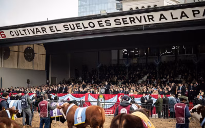Rebaja de retenciones: una decisión que puede poner al campo en la vía del crecimiento