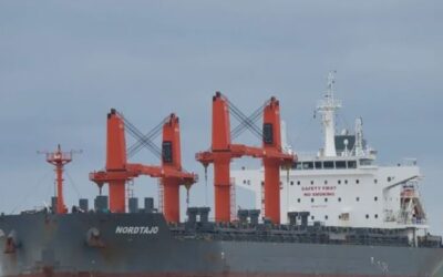 Histórico: Este mes Argentina enviará su primer embarque de harina de soja a China