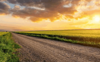 ¿Hay posibilidades de Niña para la gruesa que viene?