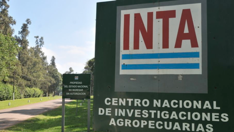 El Gobierno entiende que “El INTA se desvió de su propósito original” y procederá a su reestructuración