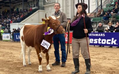 La Yoli en La Rural 25