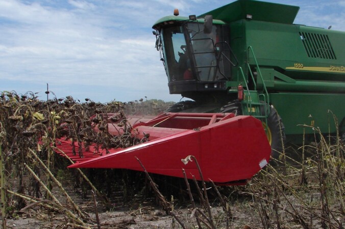 Las máquinas acompañan la revancha del girasol