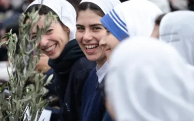 ¿Cuál es la diferencia entre congregación, orden e instituto de vida religiosa?