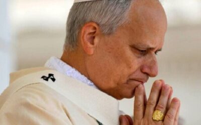 León XIV advierte contra idolatrar a la naturaleza y recuerda que fue creada para alabar a Dios