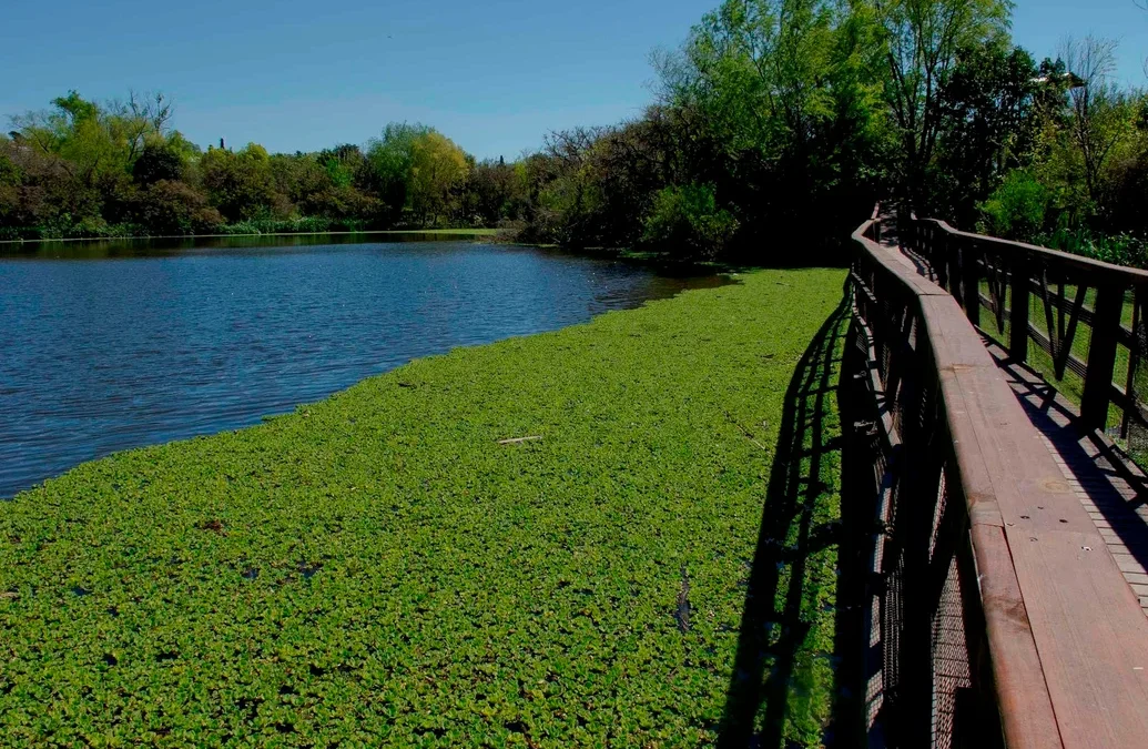 Ni Campana ni Villa Elisa: el maravilloso pueblo a 15 km de la Ciudad ideal para disfrutar en vacaciones