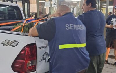 Vacaciones de invierno: Qué productos, animal o vegetal, no ingresar al país