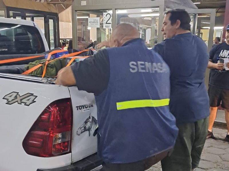 Vacaciones de invierno: Qué productos, animal o vegetal, no ingresar al país