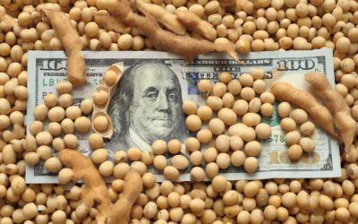 Ranking de agroexportadoras: qué empresas protagonizaron el récord de exportaciones de grano